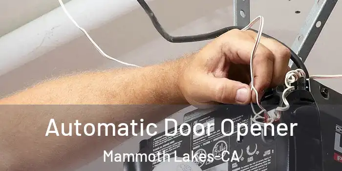 Automatic Door Opener Mammoth Lakes-CA