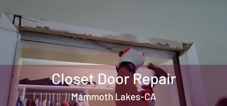 Closet Door Repair Mammoth Lakes-CA