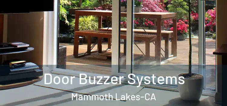 Door Buzzer Systems Mammoth Lakes-CA