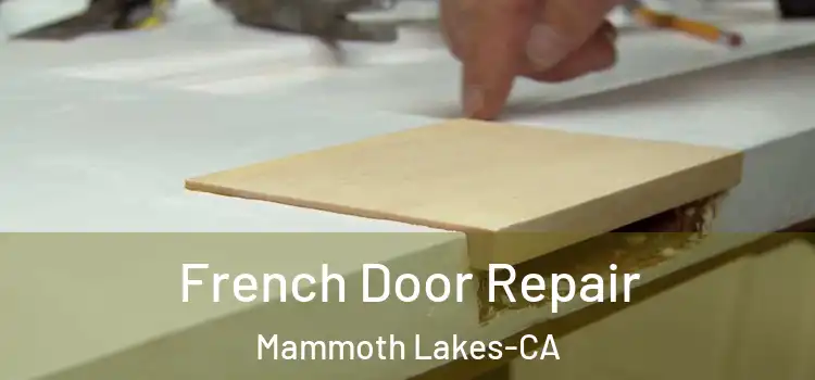 French Door Repair Mammoth Lakes-CA