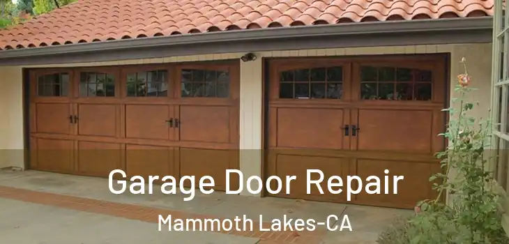 Garage Door Repair Mammoth Lakes-CA