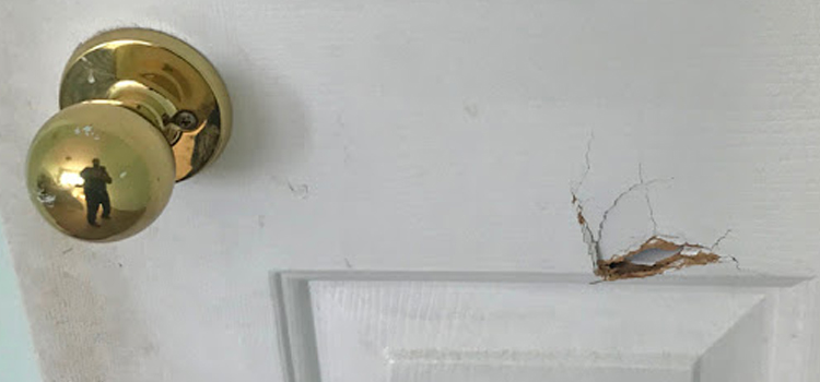 interior door hole repair Mammoth Lakes