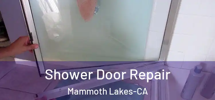 Shower Door Repair Mammoth Lakes-CA