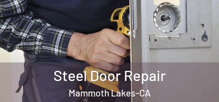 Steel Door Repair Mammoth Lakes-CA